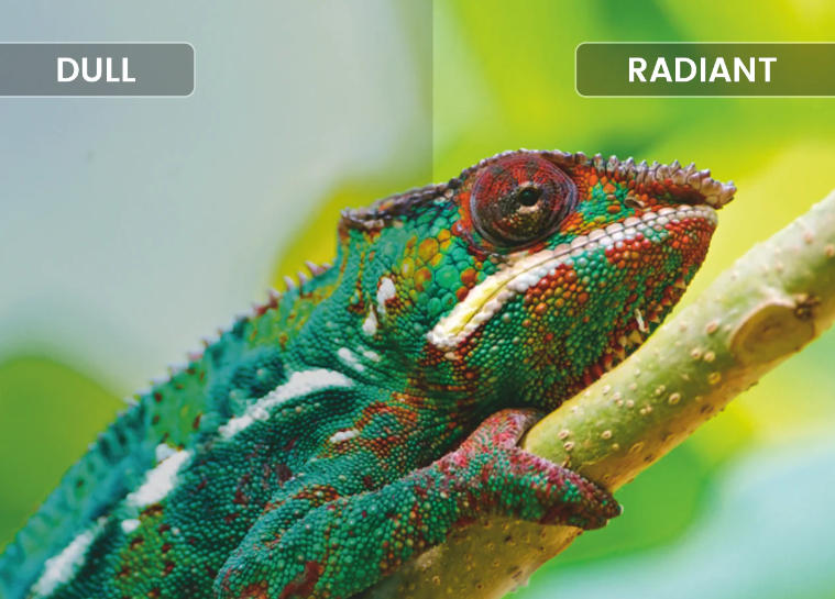 Icona London ILED-320DTS 32” Edgeless Digital Satellite LED TV With A+ Panel - HDMI/USB - DVB-T2/S2 - Black (1YR WRTY)