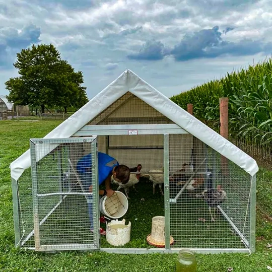 💝Last Day for Clearance✨🔥Large Metal Removable Chicken Coop with Tarpaulin (For 20~60 Chickens)🐔