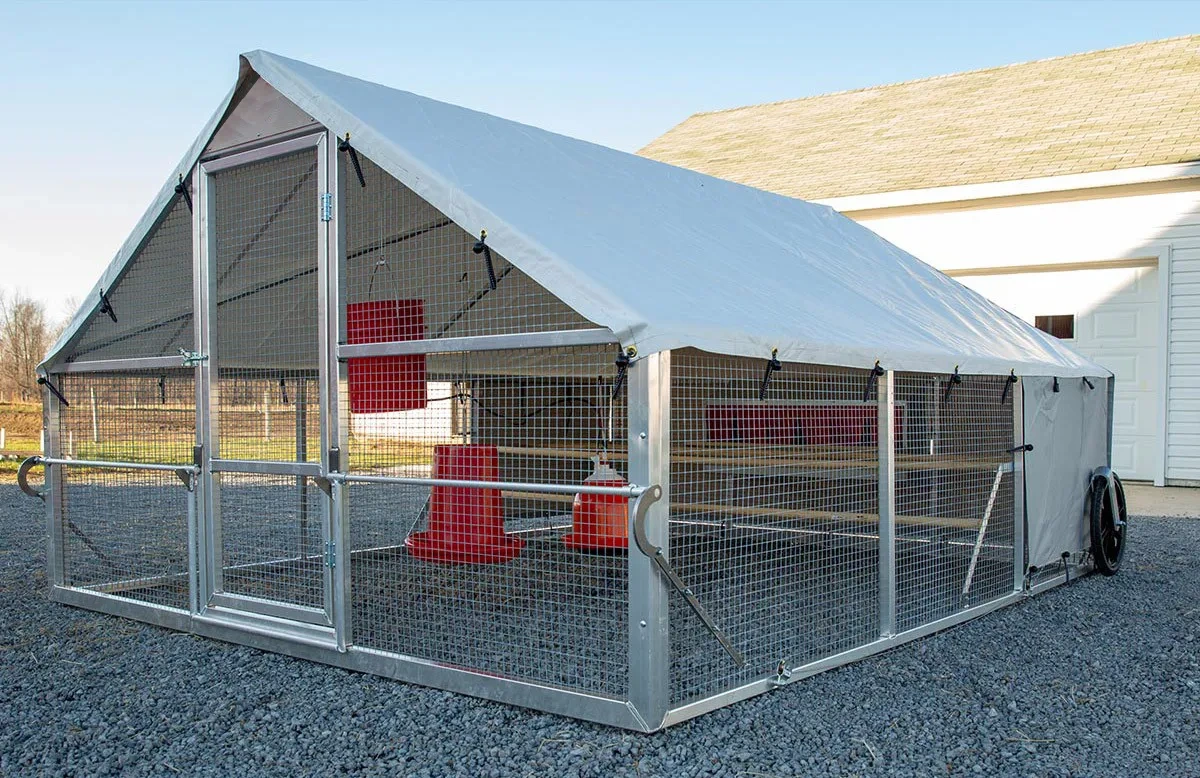 💝Last Day for Clearance✨🔥Large Metal Removable Chicken Coop with Tarpaulin (For 20~60 Chickens)🐔