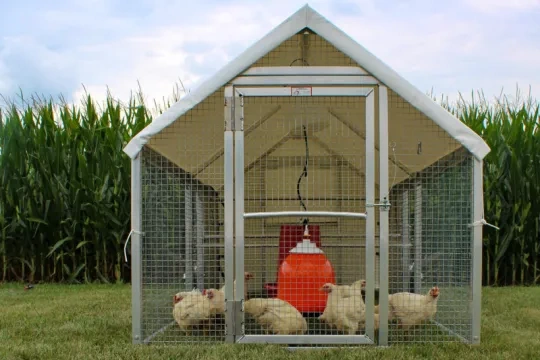 💝Last Day for Clearance✨🔥Large Metal Removable Chicken Coop with Tarpaulin (For 20~60 Chickens)🐔