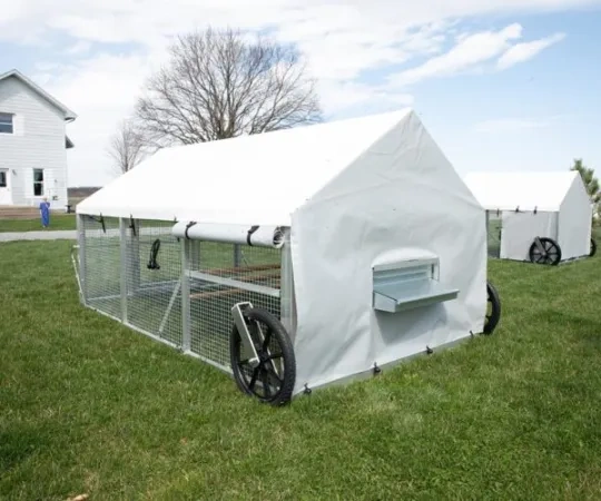 💝Last Day for Clearance✨🔥Large Metal Removable Chicken Coop with Tarpaulin (For 20~60 Chickens)🐔