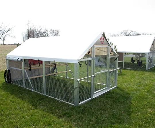💝Last Day for Clearance✨🔥Large Metal Removable Chicken Coop with Tarpaulin (For 20~60 Chickens)🐔