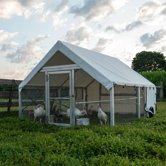 💝Last Day for Clearance✨🔥Large Metal Removable Chicken Coop with Tarpaulin (For 20~60 Chickens)🐔