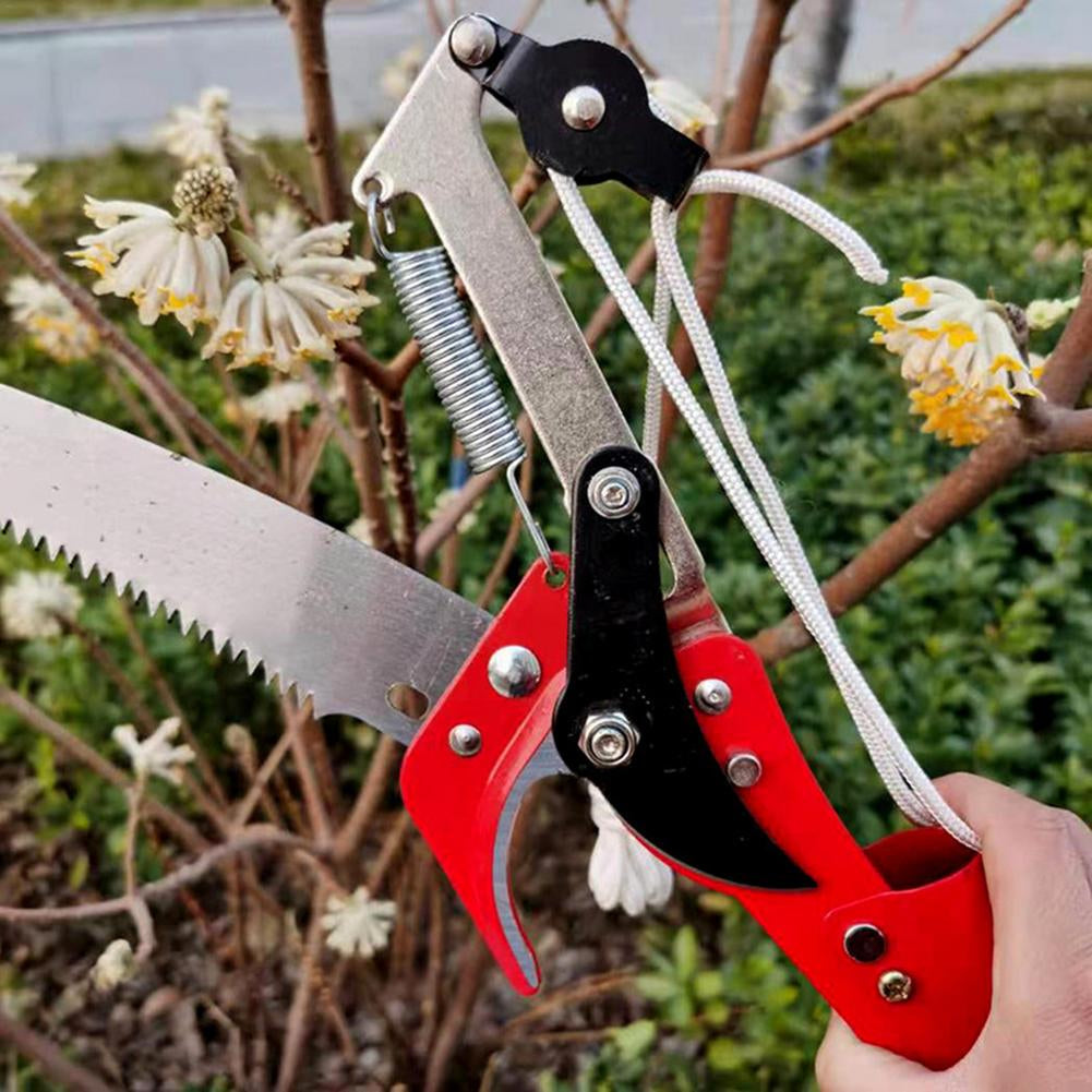 Buy 1 Get 1 Free🌟 Tree Trimmer Scissor