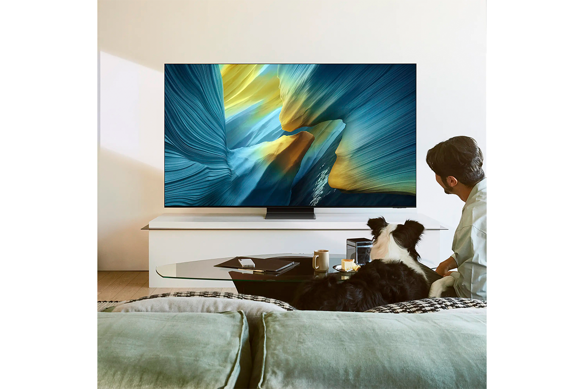 Samsung OLED 55 Inch S95F Glare Free AI Smart TV