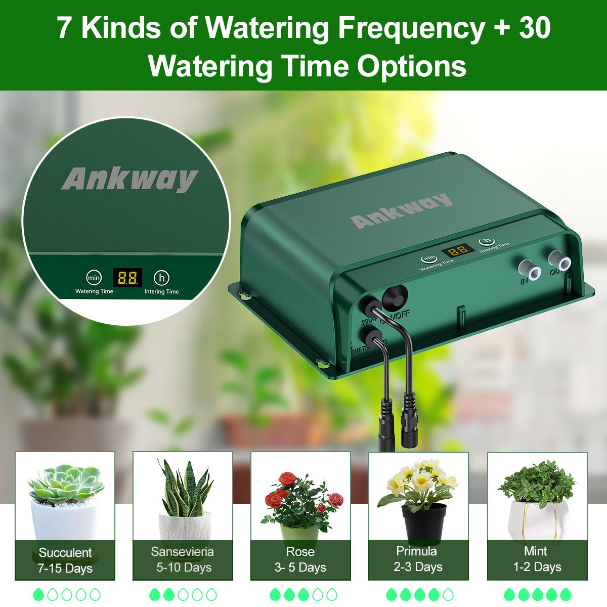 🔥【Buy 1 Get 10 Free】Solar-Powered Drip Irrigation Kit for Effortless Gardening | Multi-Timing Modes | Supporting farm irrigation⭐⭐⭐⭐⭐