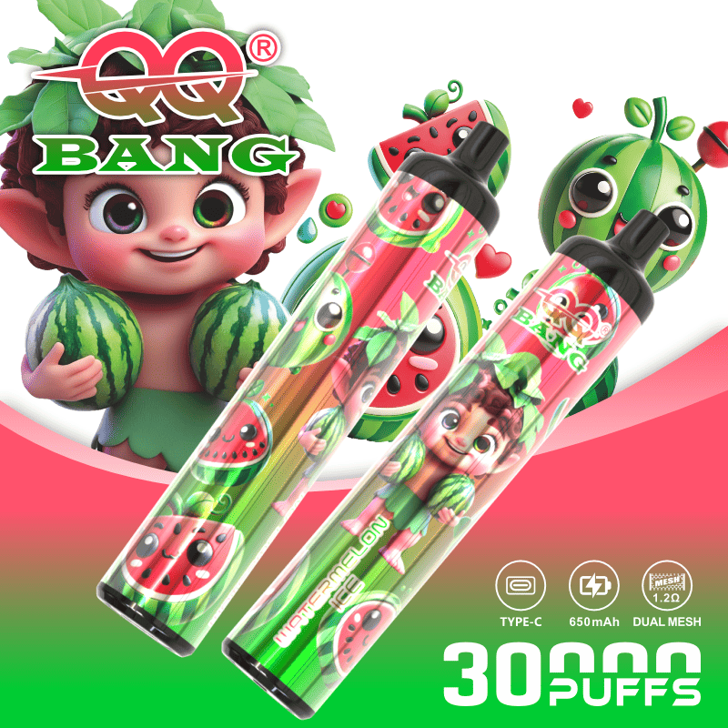 QQ Bang 30000 30K Puffs Original Disposable Vape Pen Type-C Rechargeable E-Cigarette 
