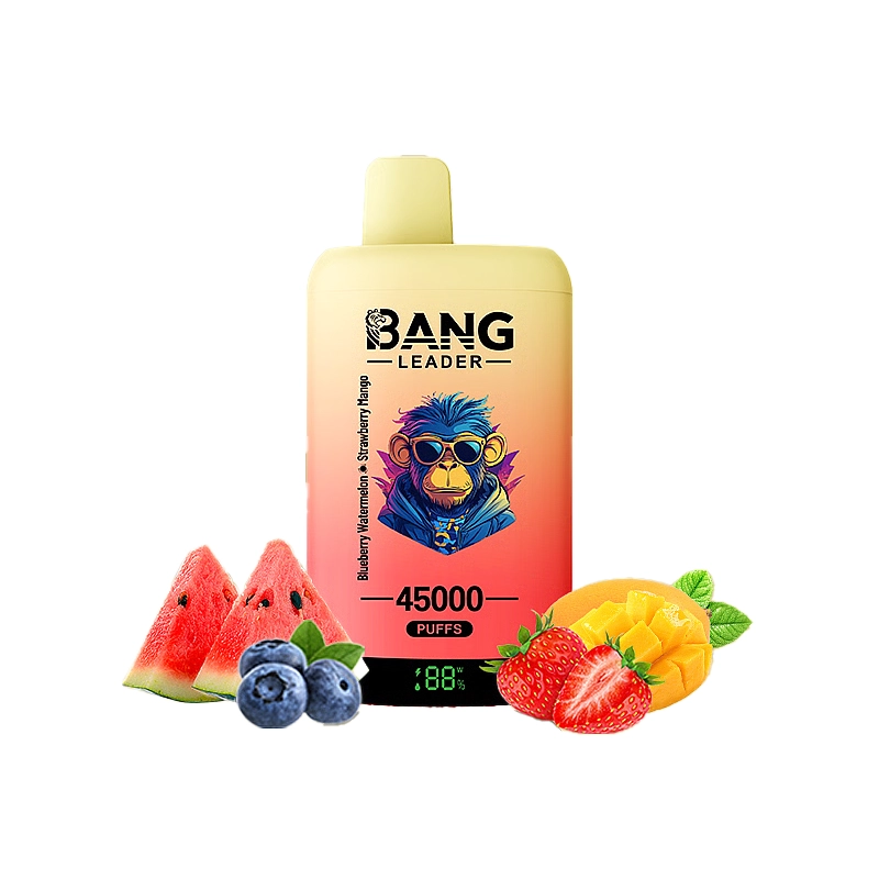Bang Leader 45000 45K Puffs Double Taste LED Display Rechargeable  Disposable Vape EU Warehouse 