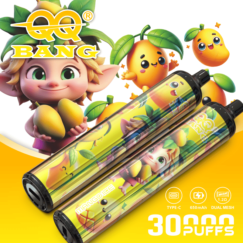 QQ Bang 30000 30K Puffs Original Disposable Vape Pen Type-C Rechargeable E-Cigarette 