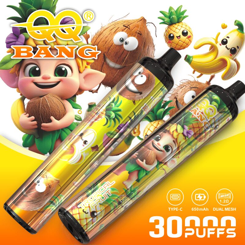 QQ Bang 30000 30K Puffs Original Disposable Vape Pen Type-C Rechargeable E-Cigarette 