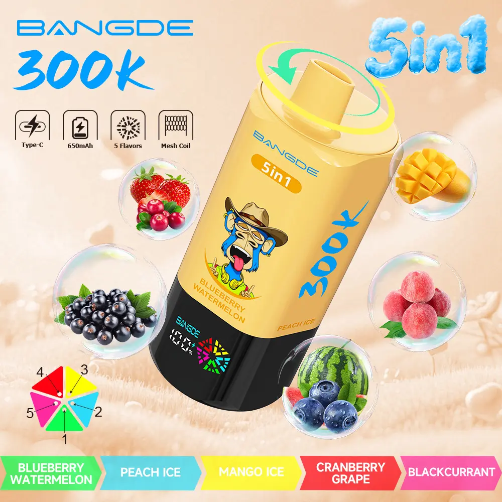 Bang DE 300K 300000 Vape 5-in-1 Flavors Rechargeable LED Display Disposable E-Cigarette 