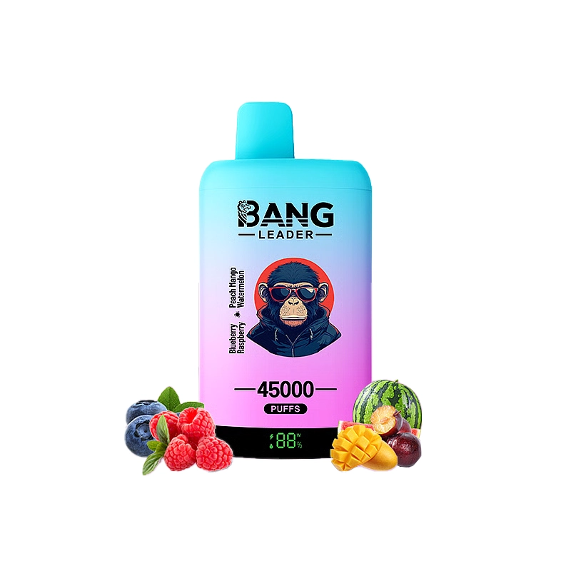 Bang Leader 45000 45K Puffs Double Taste LED Display Rechargeable  Disposable Vape EU Warehouse 