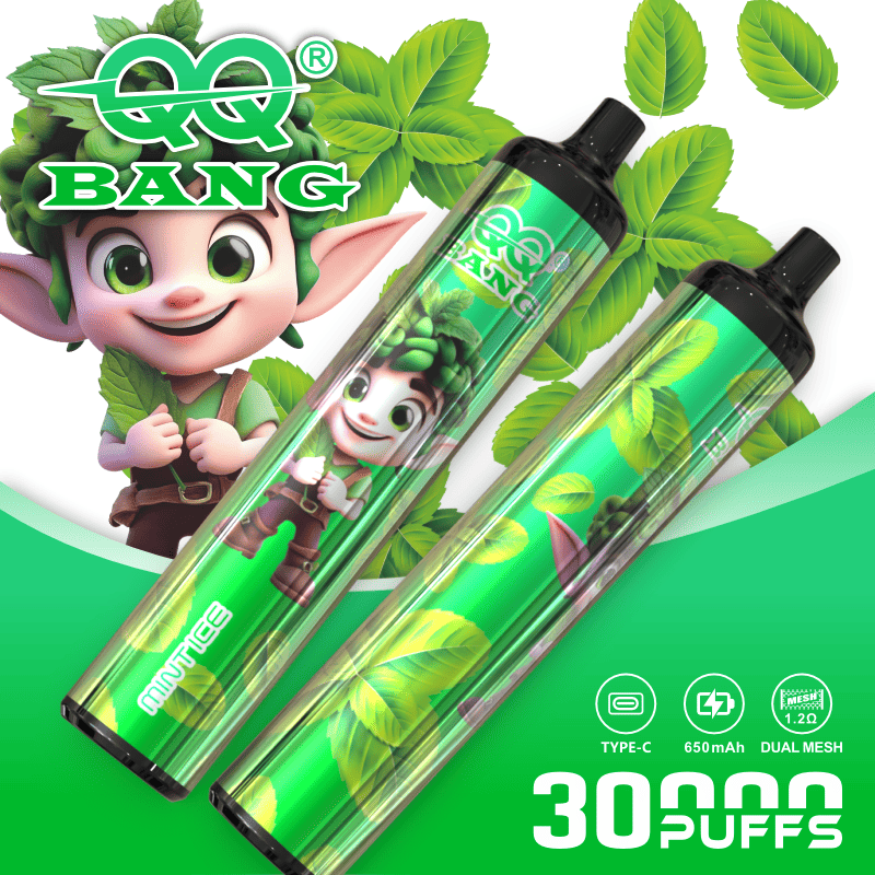 QQ Bang 30000 30K Puffs Original Disposable Vape Pen Type-C Rechargeable E-Cigarette 